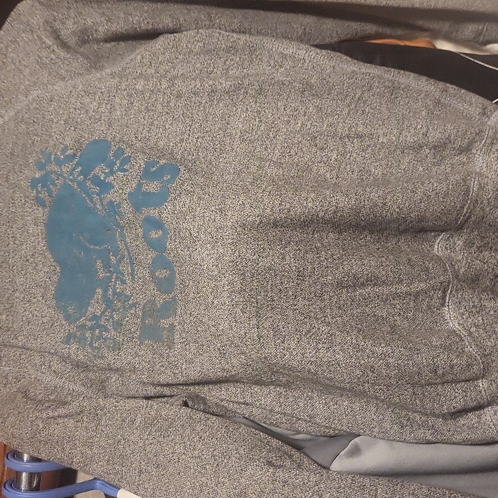 Roots sweatshirt